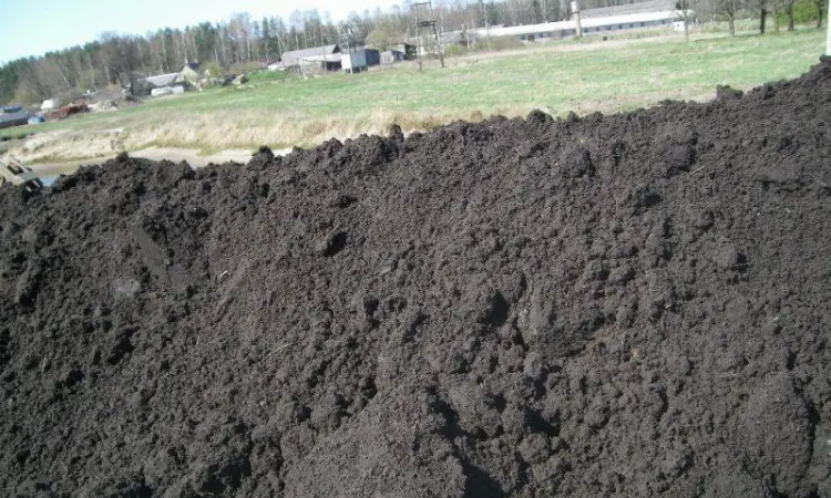 Доставка чернозема в мешках и навалом по Запорожью - фото № 1