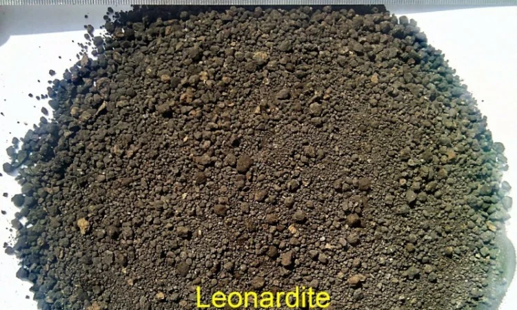 Леонардит для производства удобрений: Гумат натрия - фото № 1