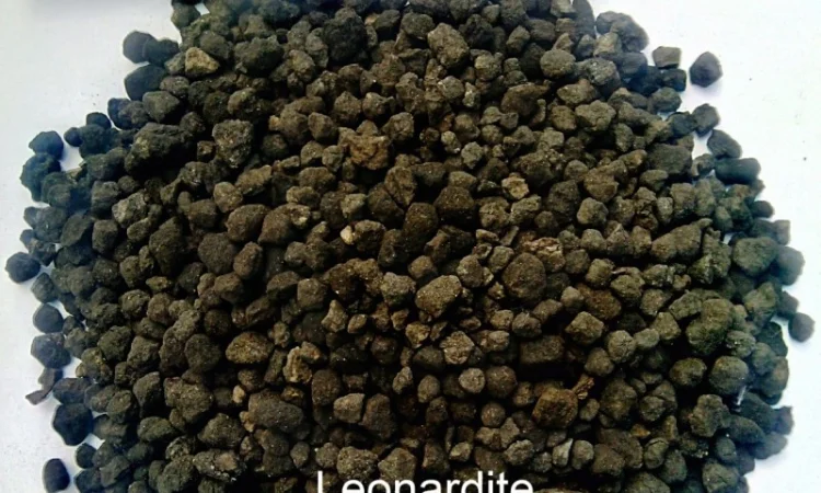 Леонардит для производства удобрений: Гумат натрия - фото № 2
