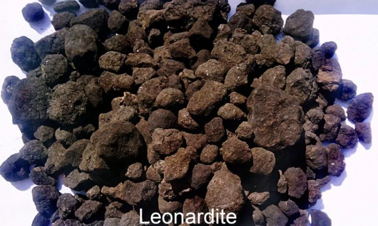 Леонардит для производства удобрений: Гумат натрия - фото № 3