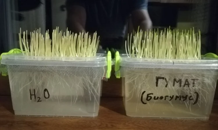 Гумат Калия из биогумуса - фото № 1