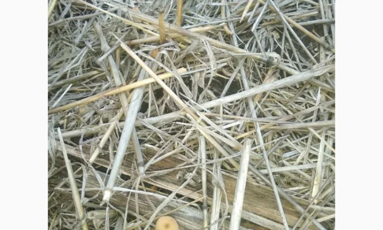 Деструктор стерни+удобрение для улучшения качества почвы - фото № 3