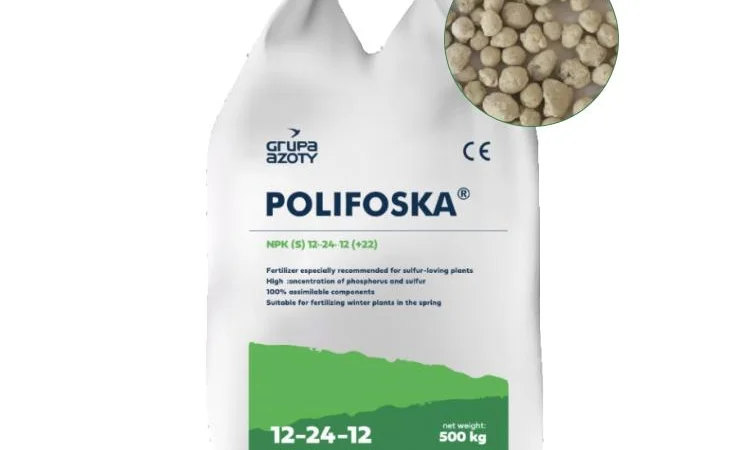 Polifoska 12 NPK+S 12-24-12+22 / Поліфоска 12 - фото № 1