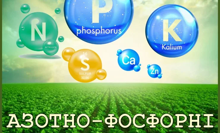 Діамонійфосфат (DAP) Болгарія, Туреччина, Марокко, Йорданія - фото № 1