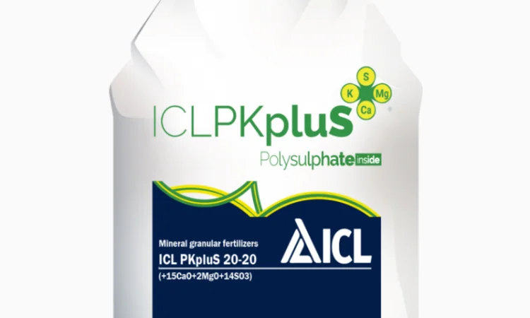 ICL PKpluS 20-20 (+2MgO+15CaO+14SO3) – ефективне добриво від Агро центру «B&S Product» - фото № 1