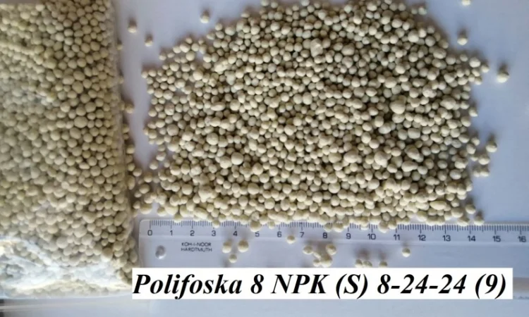 Поліфоска 8 NPK (S) 8:24:24(9) комплексне мінеральне добриво - фото № 2