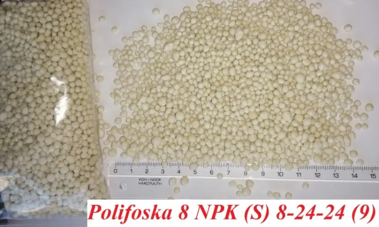Полифоска 8 NPK (S) 8:24:24(9) комплексное минеральное удобрение - фото № 3