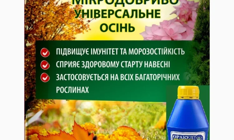 Підготуй газон та сад свій до зими - фото № 1
