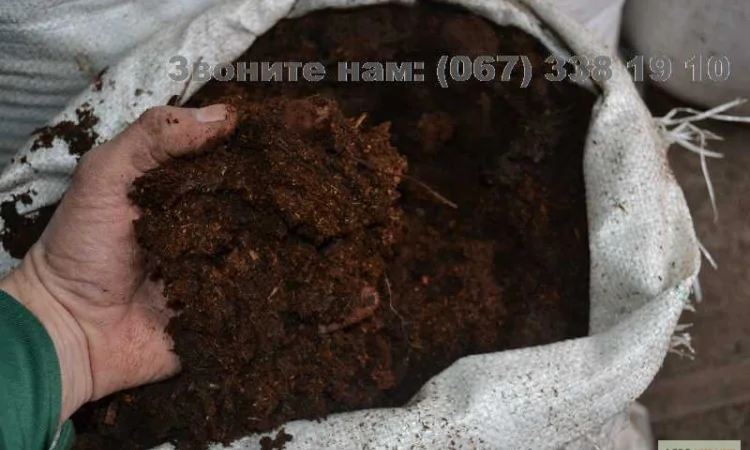 Перегной в мешках Гостомель Буча Конский перегной Киевская область Удобрение - фото № 1