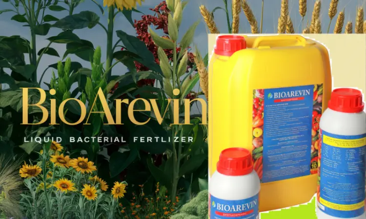 Біодобриво BIOAREVIN Універсальне багатофункціональне біодобриво - фото № 5