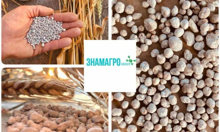 Суперфосфат P(CaS) 19-(20-32) - фото № 2