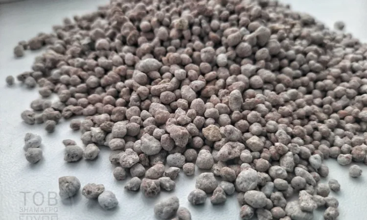 Тарногран Р з бором / Tarnogran R z borem - фото № 1