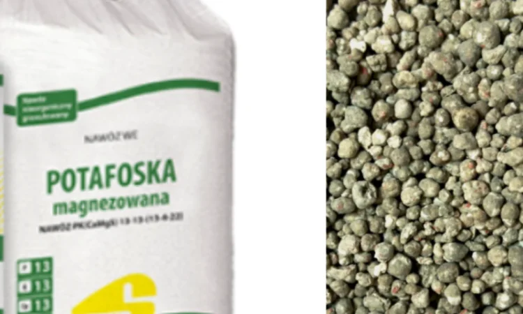 Потафоска Potafoska Siarkopol Сяркополь PK та 4 13 12 Польща - фото № 1