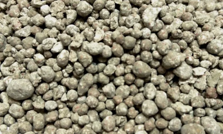 Тарногран 21 NPK (CaMgS) 3-10-21 (6-3-18) - фото № 1