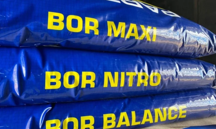 Удобрение Бор 21% для Подсолнечника, картофеля 0.5 кг/га - фото № 2