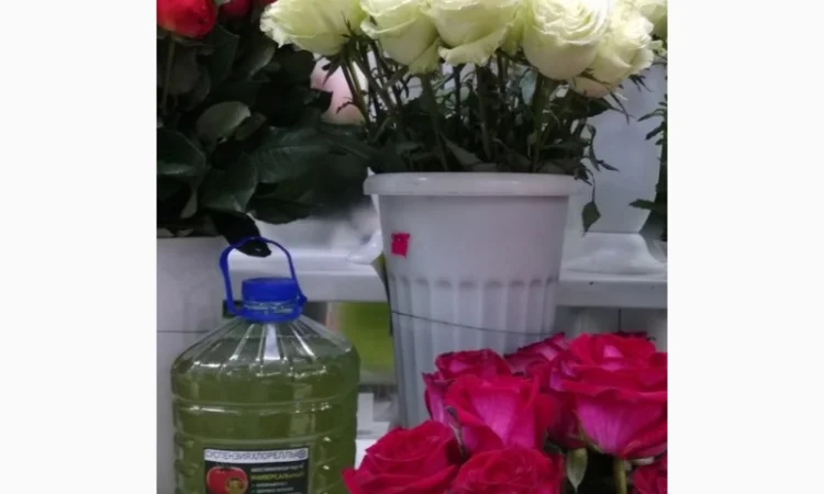 Культуральна середа хлорели для ефективного рослинництва - фото № 4