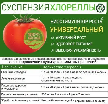 Культуральна середа хлорели для ефективного рослинництва - фото № 5