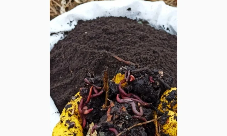 Біогумус вермікомпост просіяний добриво для саду городу компост у мішку 10 і 30 кг - фото № 1