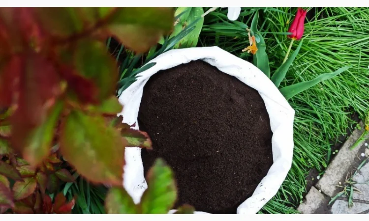 Біогумус вермікомпост просіяний добриво для саду городу компост у мішку 10 і 30 кг - фото № 2