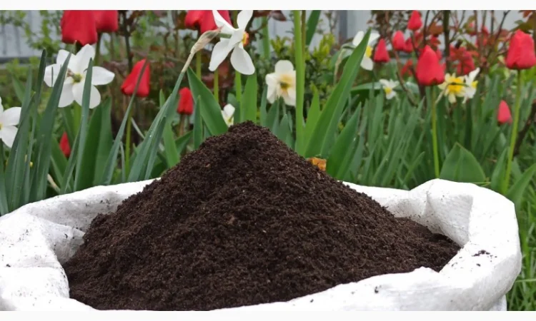 Біогумус вермікомпост просіяний добриво для саду городу компост у мішку 10 і 30 кг - фото № 4