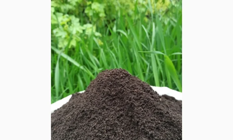 Біогумус вермікомпост просіяний добриво для саду городу компост у мішку 10 і 30 кг - фото № 5