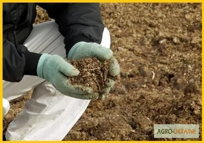 Перепелиный помет - экологическое удобрение - фото № 1