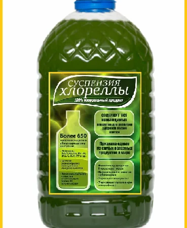 Хлорелла суспензия (Chlorella-Vulgaris) - живой штамм водоросли - фото № 1