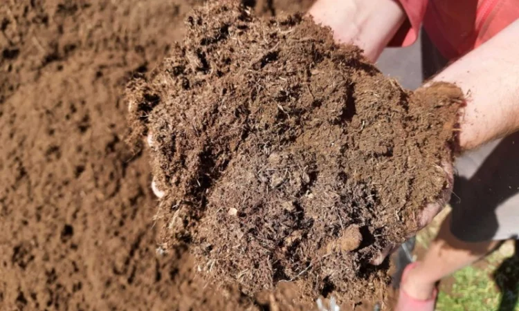 Субстрат для голубики, мешки 70 литров - фото № 1