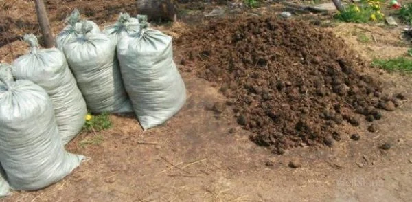 Перегной коровий, конский в мешках и навалом по Запорожью - фото № 1