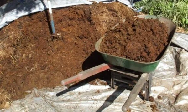 Перегной коровий, конский в мешках и навалом по Запорожью - фото № 3