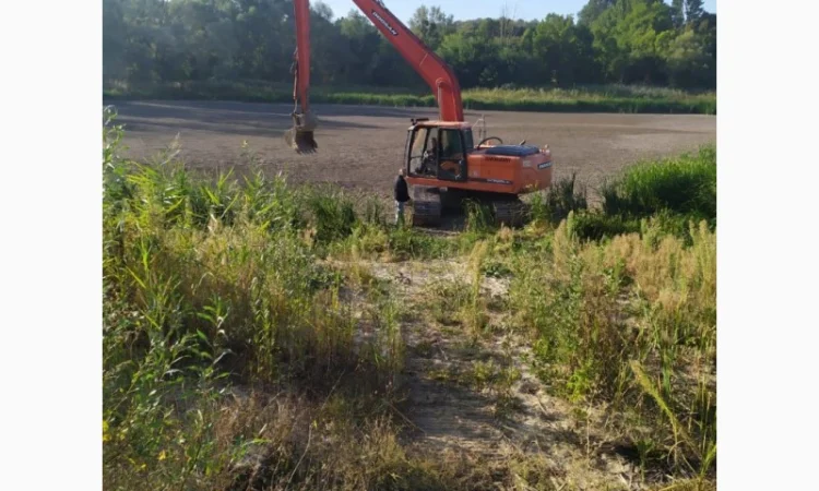 Сапропель – удобрение для вашего хозяйства - фото № 2