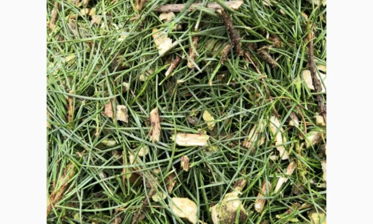 Продам хвойну мульчу - фото № 1