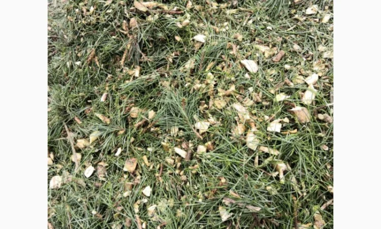 Продам хвойну мульчу - фото № 2