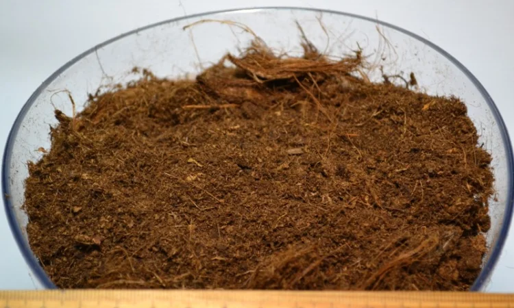 Продаю торф верховий в біг бегах по 3500 літрів - Білорусь ОПТОМ на на роздріб - фото № 4