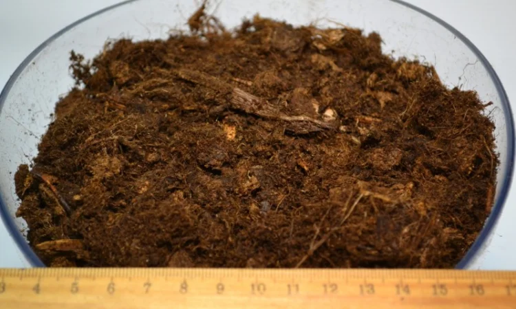 Продаю торф верховий в біг бегах по 3500 літрів - Білорусь ОПТОМ на на роздріб - фото № 6