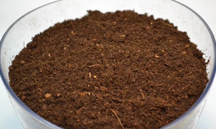 Продаю торф верховий в біг бегах по 3500 літрів - Білорусь ОПТОМ на на роздріб - фото № 8