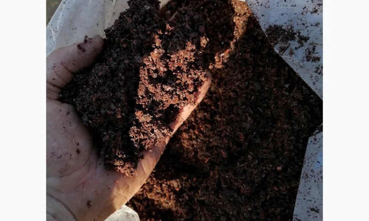 Коровяк Сыпец Перегной коровий в мешках Киев и область - фото № 4