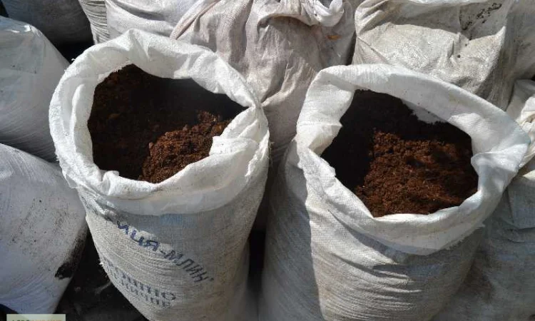 Перегной в мешках Нивки Сырец Перегной Киев Доставка - фото № 2