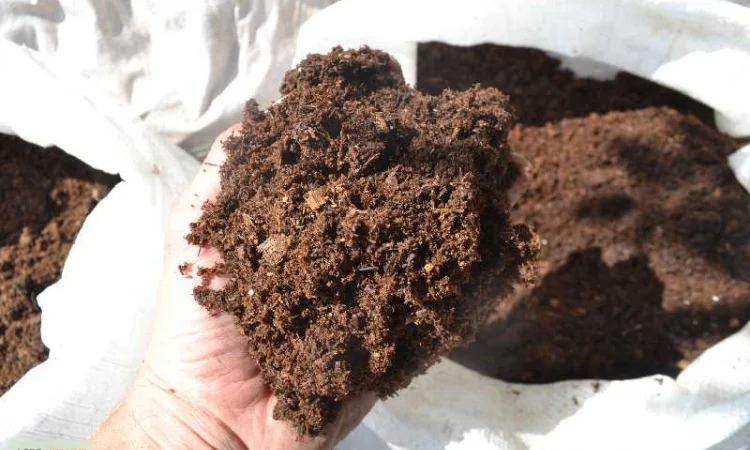 Перегной Боярка Тарасовка Перегной в мешках Киевская область Натуральное удобрение - фото № 3