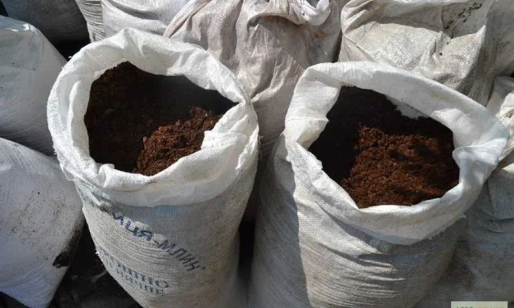 Перегной Боярка Тарасовка Перегной в мешках Киевская область Натуральное удобрение - фото № 4