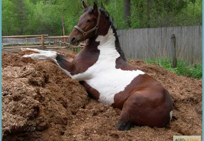 Перегной Боярка Тарасовка Перегной в мешках Киевская область Натуральное удобрение - фото № 2