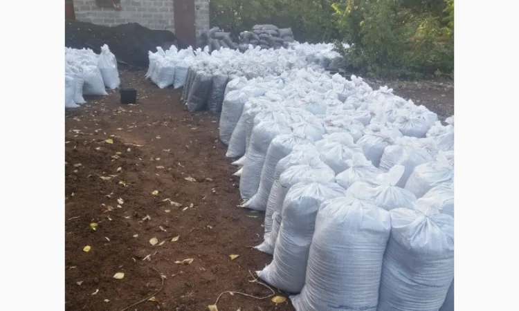 Перегной Боярка Тарасовка Перегной в мешках Киевская область Натуральное удобрение - фото № 1