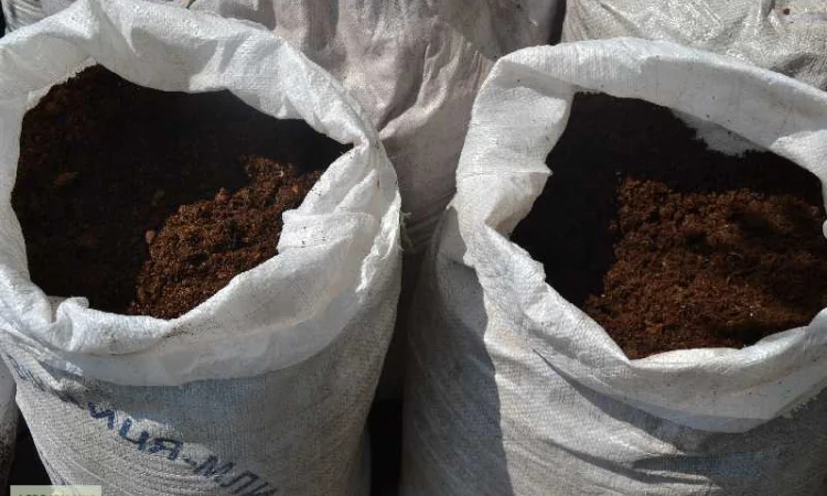 Перегной в мешках киев Перегной Киевская область - фото № 6