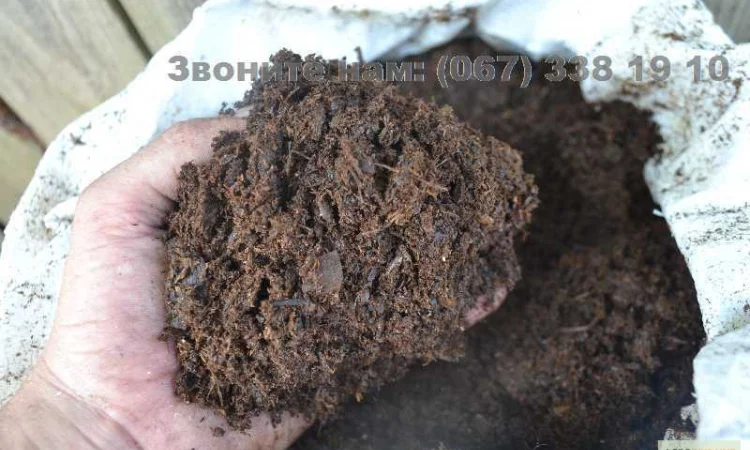 Перегній кінський Київ Перегній в мішках Голосеевский район Совки - фото № 2