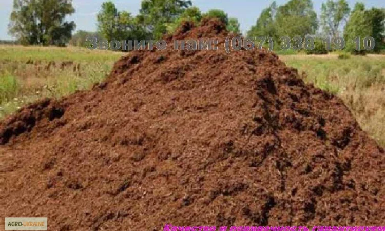Перегній кінський Київ Перегній в мішках Голосеевский район Совки - фото № 1