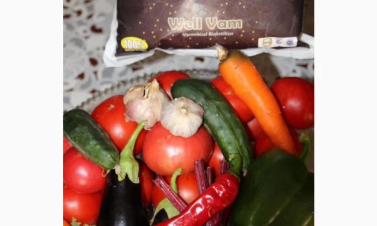 Микориза Велвам - фото № 1