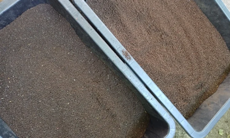 Продам БІОГУМУС Органічне добриво - фото № 2