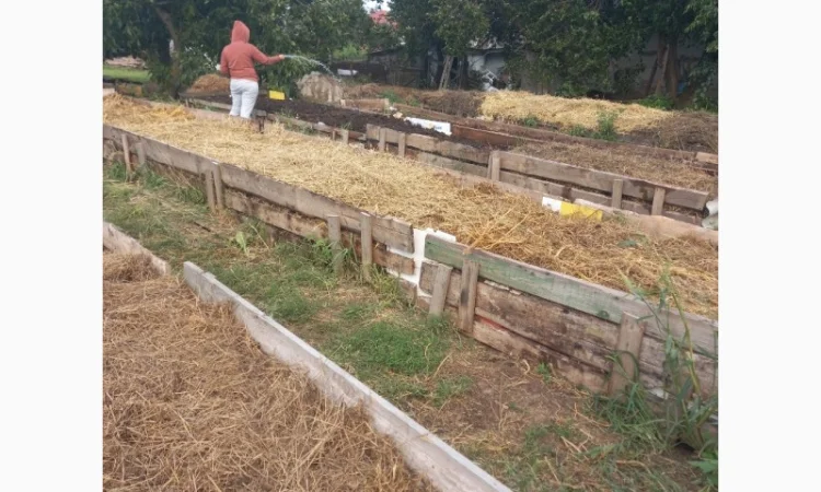 Продам БІОГУМУС Органічне добриво - фото № 4