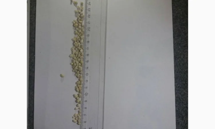 Суперфосфат Р (CaS) 19 (17:30) - фото № 2