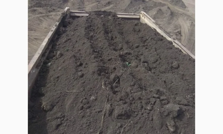 Чернозем, растительный грунт, торфокрошка, торф. Ворзель. Клавдиево. Мироцкое. Буча - фото № 3